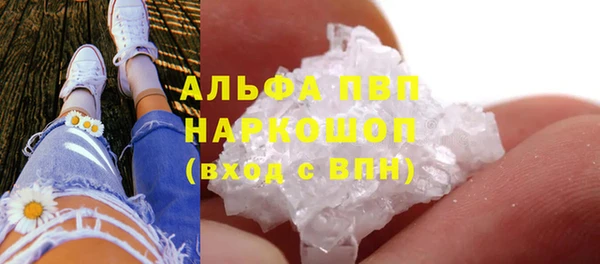 ГАЛЛЮЦИНОГЕННЫЕ ГРИБЫ Пересвет