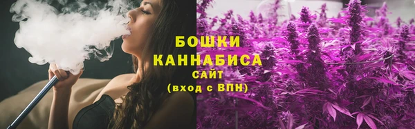 ГАЛЛЮЦИНОГЕННЫЕ ГРИБЫ Пересвет