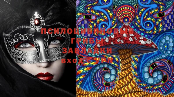 спиды Кукмор