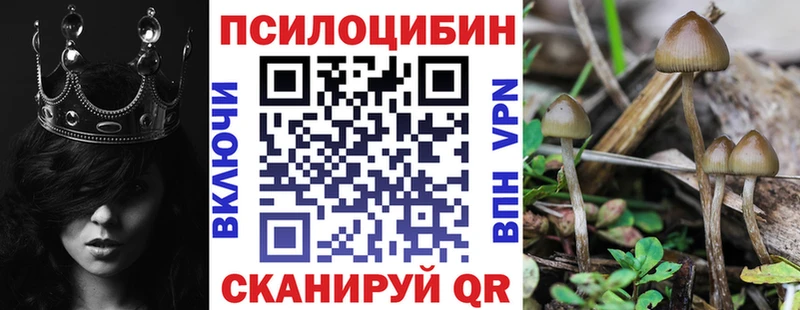 где купить наркоту  darknet Telegram  mega ТОР  Галлюциногенные грибы MAGIC MUSHROOMS  Мамадыш 